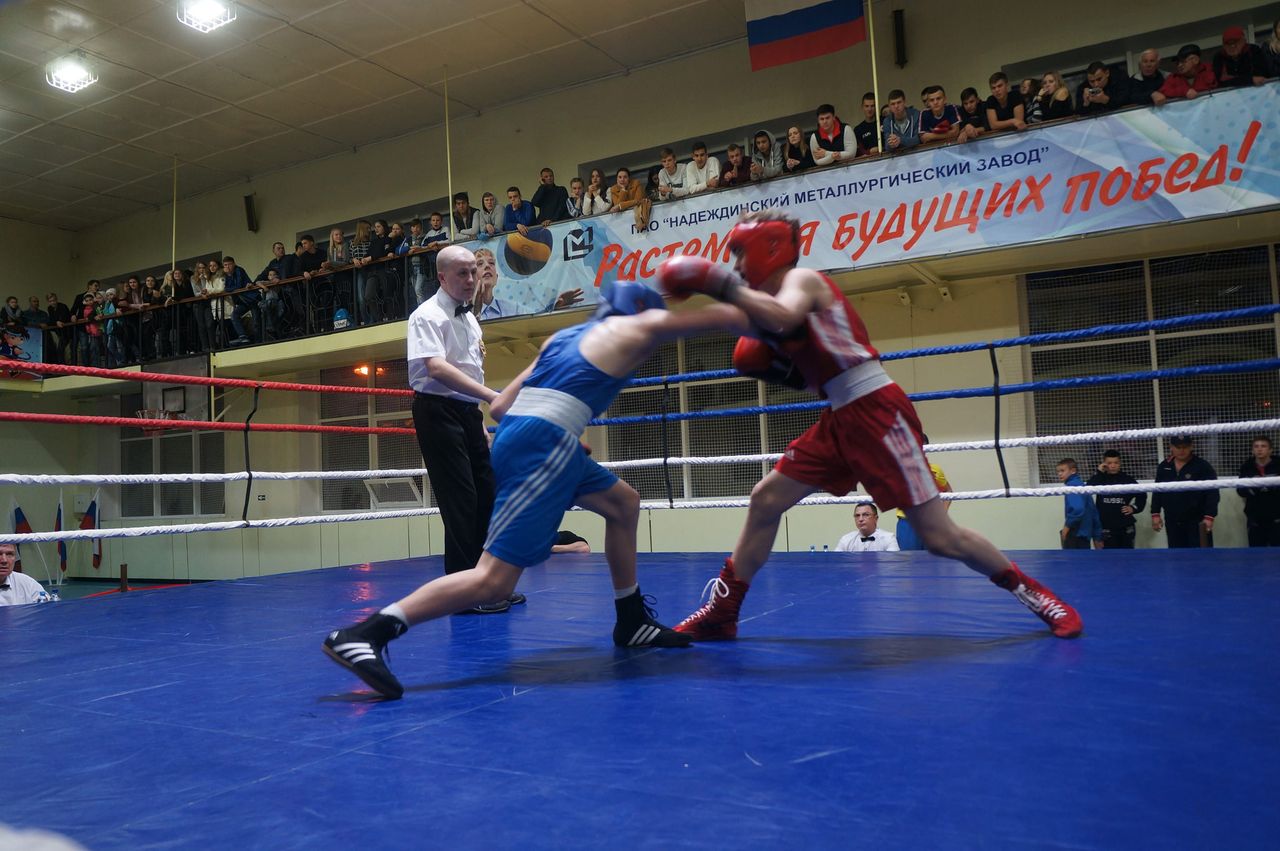 В Серове пройдет первенство области по боксу среди юниоров