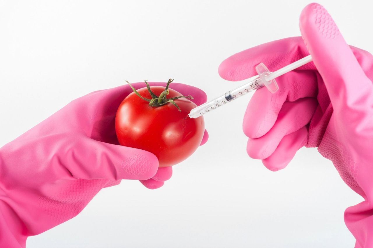 Специалист рассказывает серовчанам о последствиях употребления продуктов с ГМО