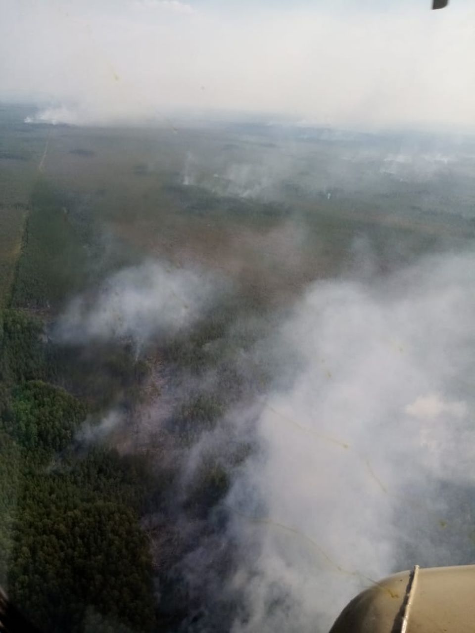 Под Серовом горит 180 гектаров леса