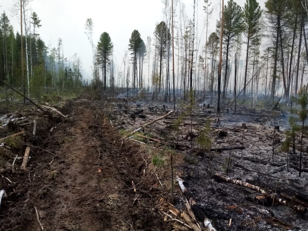 В районе поселка Подгарничный Серовского района тушат лес. Огонь охватил 38 гектаров