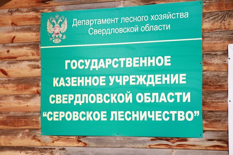 На территории Серовского и Сотринского лесничеств нет активных пожаров
