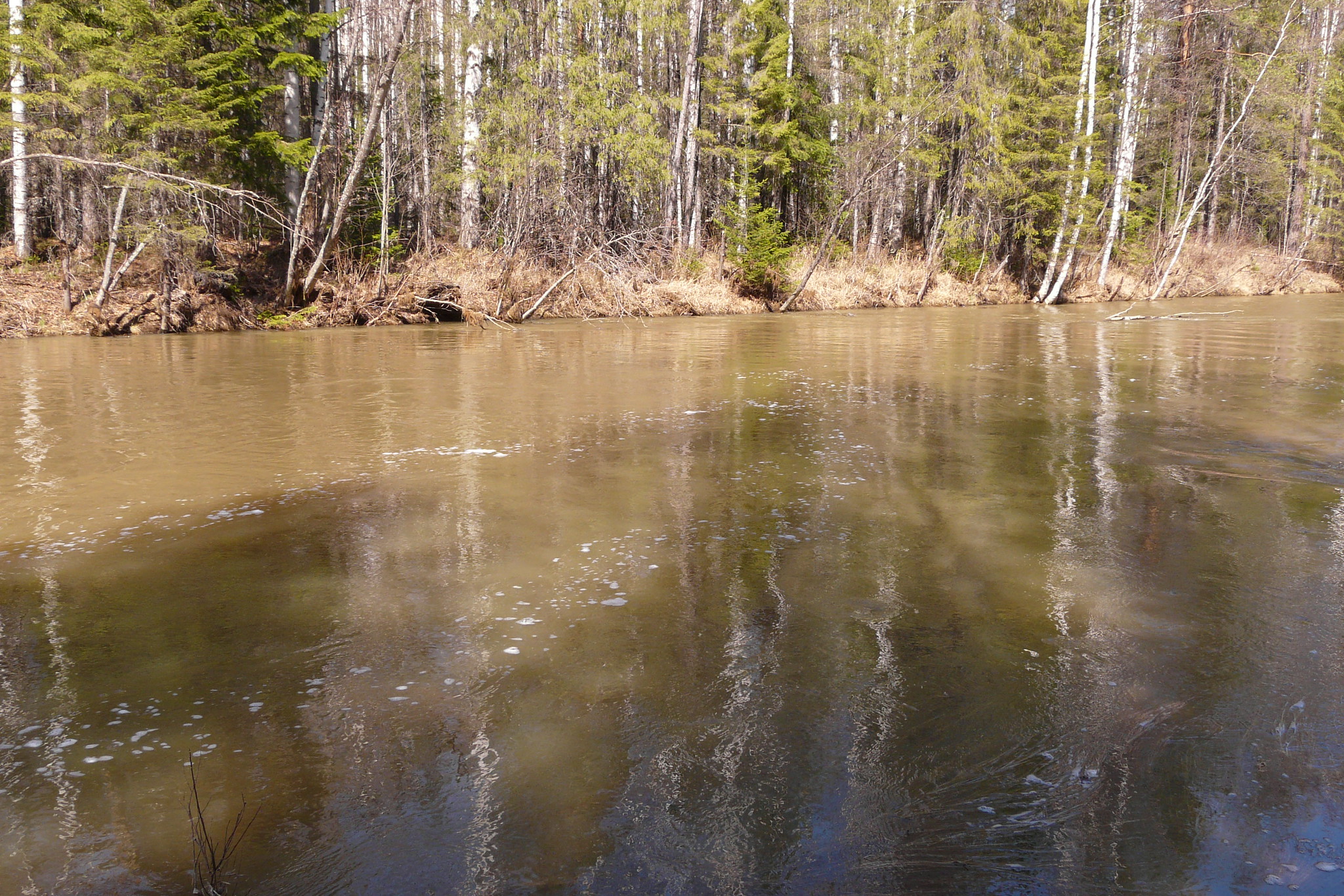 "Живой Шемур" опубликовал результаты анализов проб воды из озера Светлого и дренажного узла, вода из которого используется для водоснабжения Североуральска