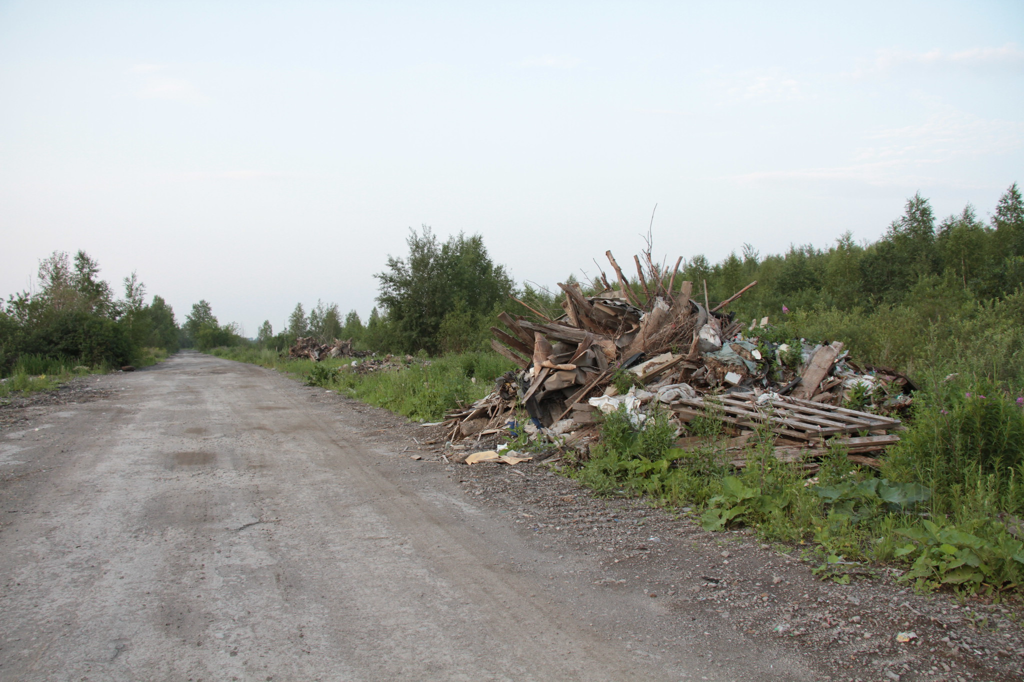 Уборкой мусора на дороге между Медянкино и Новой Колой займется «Серовавтодор»