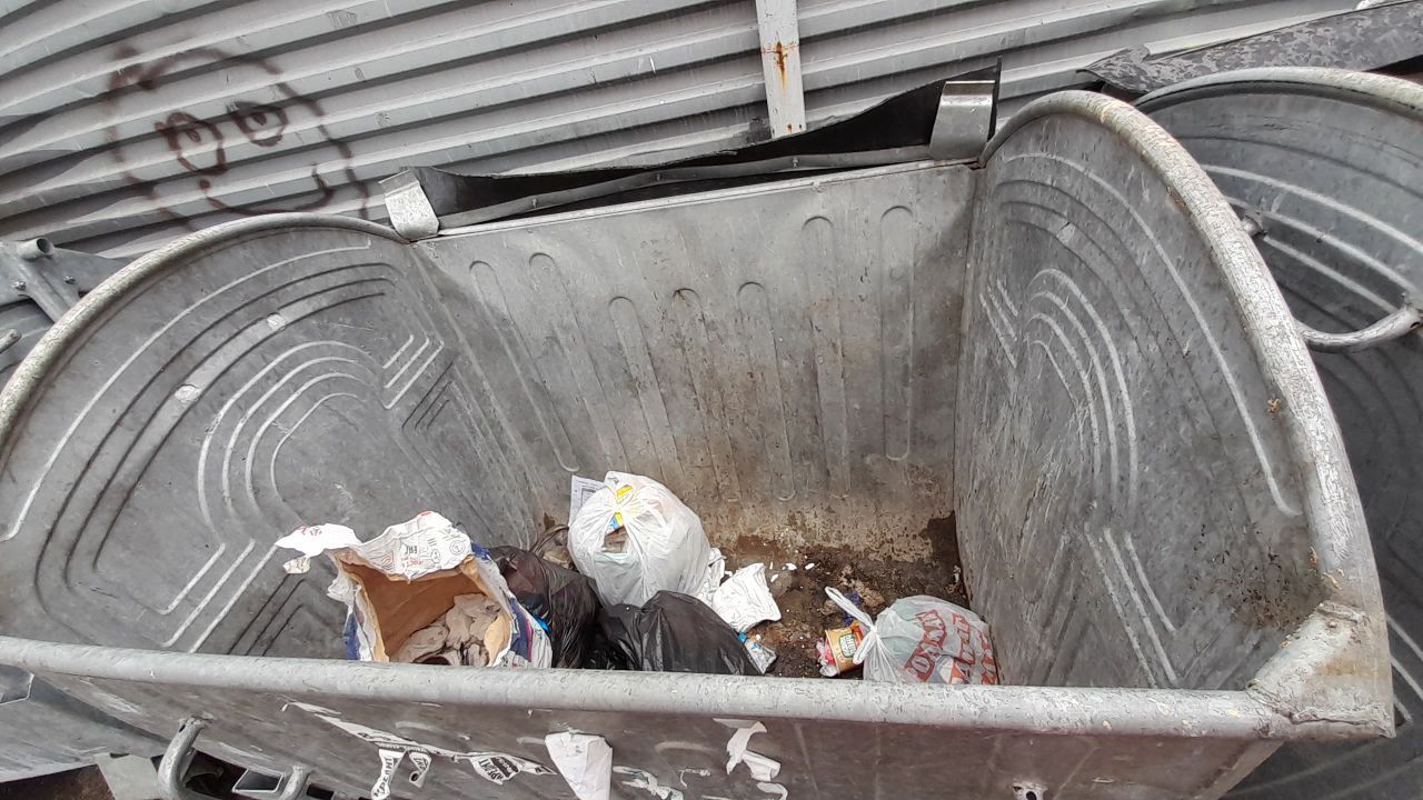 Управляющая компания "Сила действия" отчиталась об уборке тополиных чурок из мусорных баков