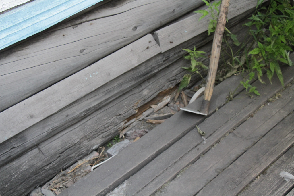 Нижние венцы дома сгнили и превратились в труху. Фото: Константин Бобылев, "Глобус"
