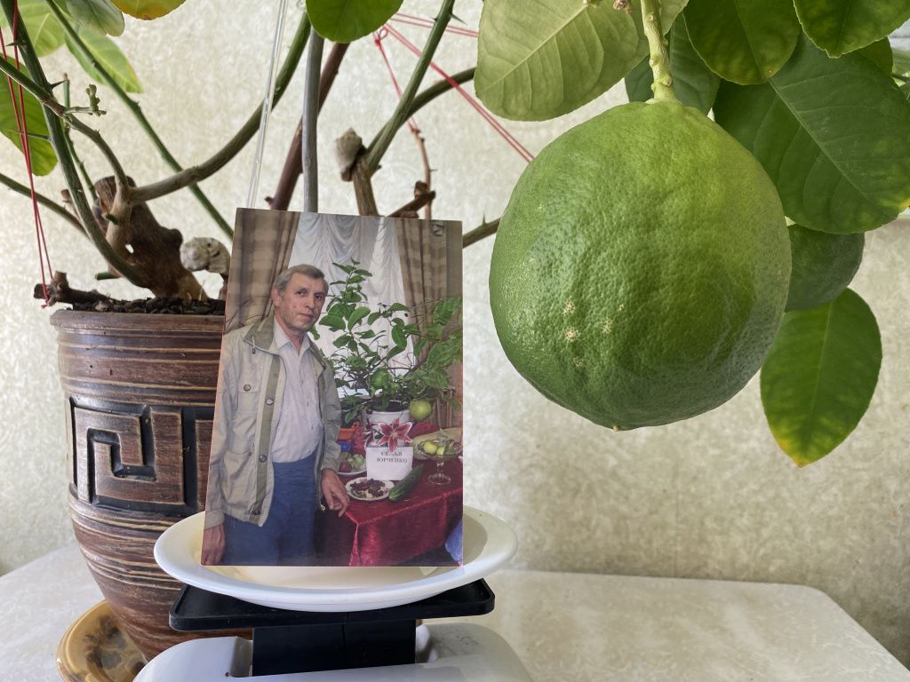 Анатолий Юрченко представлял лимон на городской выставке в 2010 году. В этот год с дерева сняли лимон весом в 780 граммов. Фото: Анна Куприянова, "Глобус"