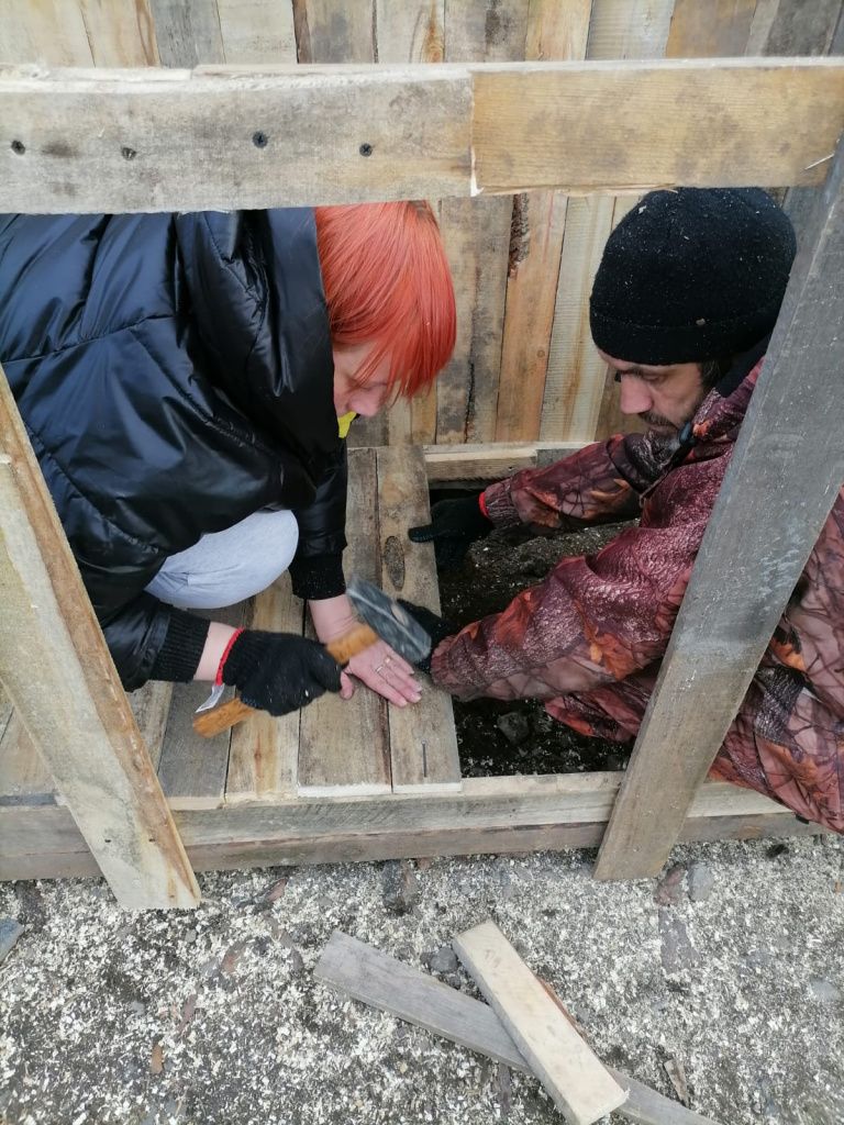 Волонтеры строят "дом" для бездомышей. Фото: Елена Земцова