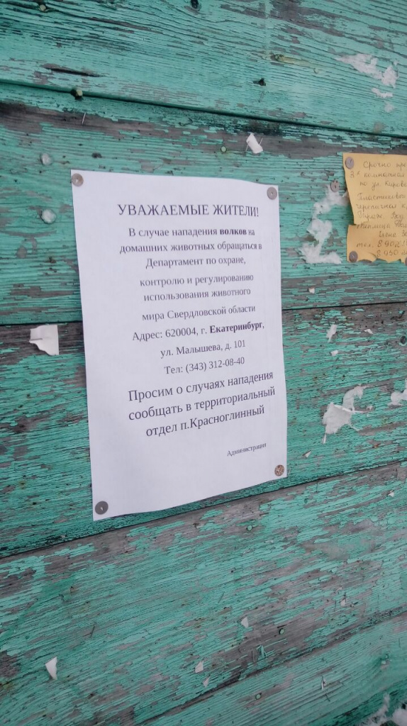 А это объявление висит на доске возле территориального отдела администрации в Красноглинном. Фото: Андрей Клейменов, "Глобус"