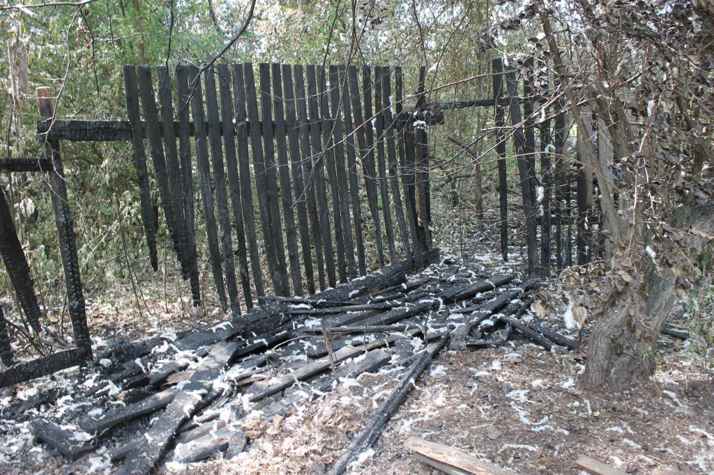 Забор со стороны улицы Братской был полностью уничтожен огнем. Фото: Мария Чекарова, "глобус"