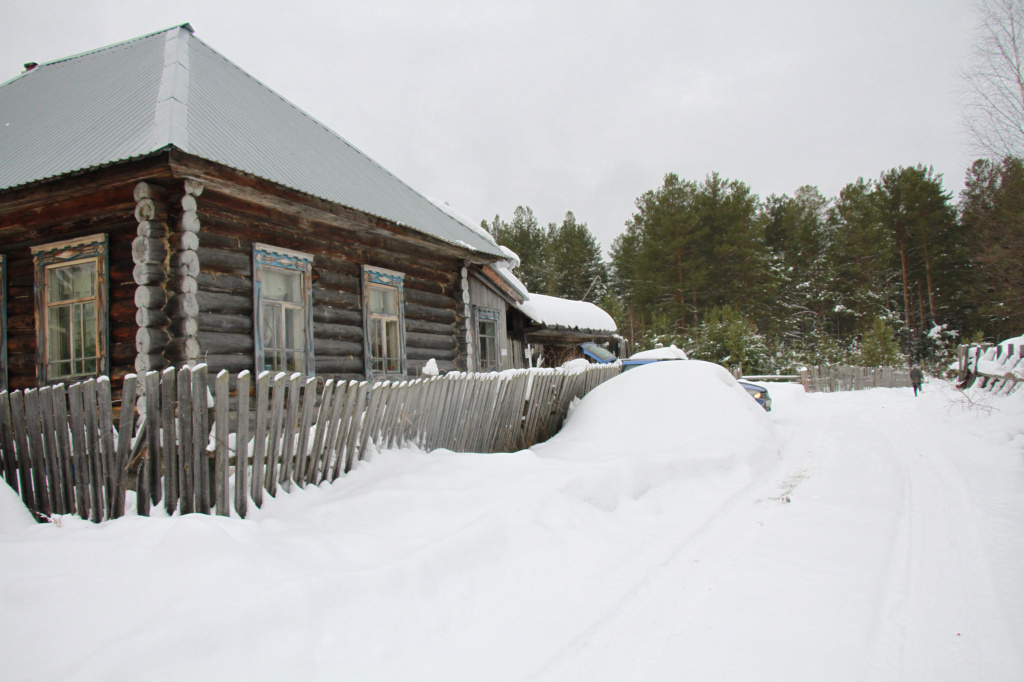 Дом Вайваловых находится в Новом Сотрино, на окраине поселка, рядом с лесом. Фото: Константин Бобылев, "Глобус"