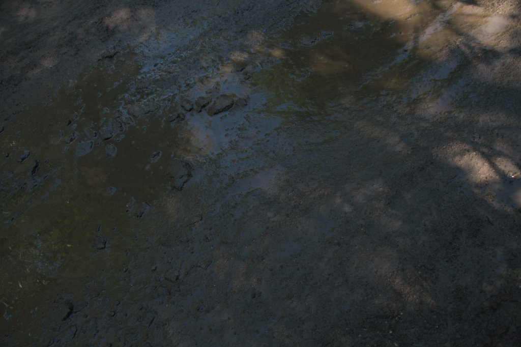 Люди говорят, что отмыть эту грязь с обуви и цветов очень сложно. Фото: Константин Бобылев, "Глобус".