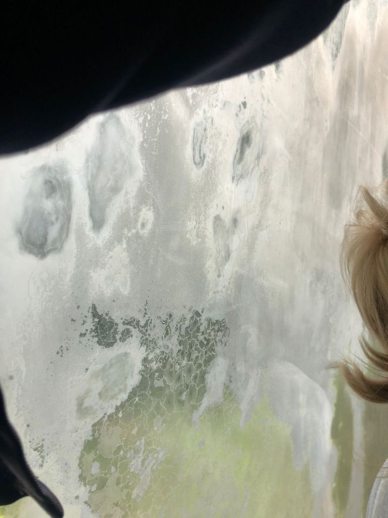 Яна говорит, что грязь находится между стеклами окна. Фото: Яна Колосова