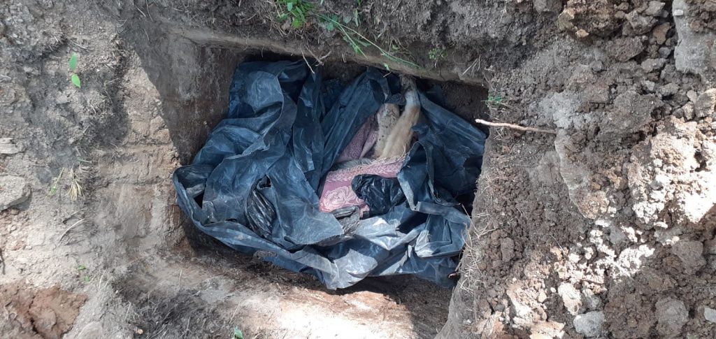 Жору похоронили на кладбище. Фото предоставили зоозащитники, попросившие об анонимности