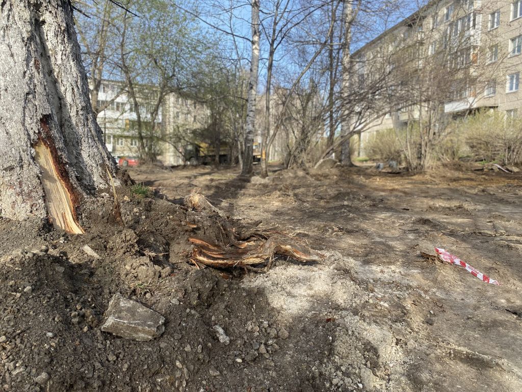В первую очередь будут убраны старые кустарники и деревья, которые мешают реконструкции бульвара. Фото: Анна Куприянова, "Глобус"