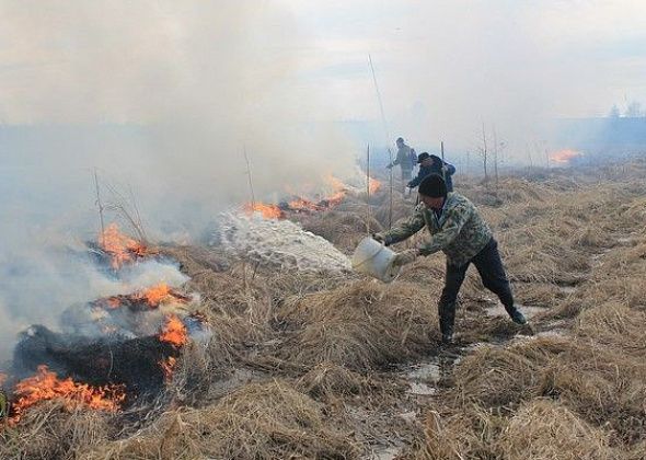 За два дня в Серове зафиксировано 5 случаев возгорания сухой травы, мусора и отходов лесопиления