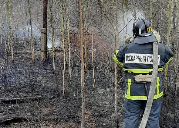 На тушение пожара между Новой Колой и Сортировкой выезжал пожарный поезд