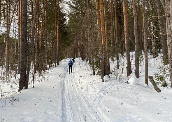 В канун Старого Нового года “Конжак” приглашает серовчан на лыжную прогулку