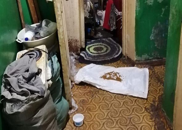 Захламленную квартиру в Серове освободили от мусора, а кошек пристроили в добрые руки