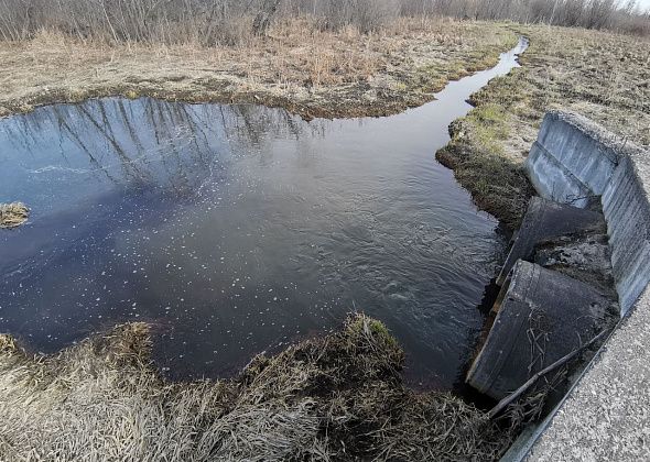 Горожане боятся, что происходит загрязнение реки Колы, протекающей под Серовом