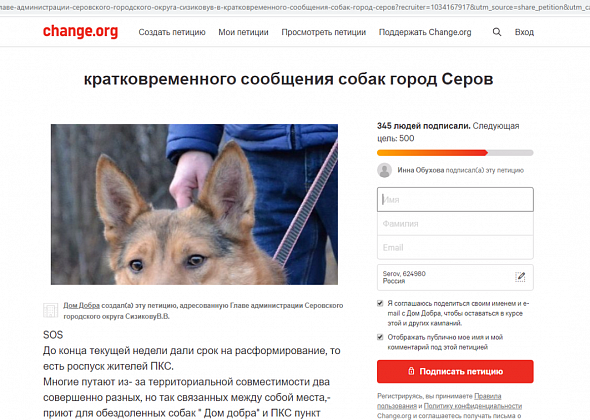 Серовские зоозащитники создали петицию против выпуска отловленных собак