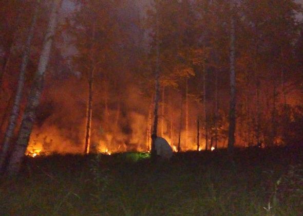Евгений Куйвашев дал ряд поручений в связи пожароопасный ситуацией в регионе