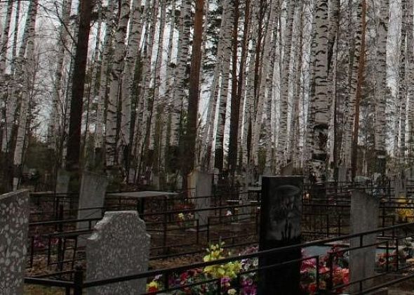Власти Серова: на кладбище Нового Медянкино можно хоронить только урны с прахом в родственные могилы