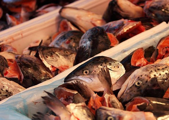 Роспотребнадзор проконсультирует серовчан и сосьвинцев по вопросам качества и безопасности мясной и рыбной продукции
