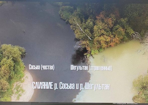 Председатель Следственного комитета России поручил проверить информацию о загрязнении реки Сосьва