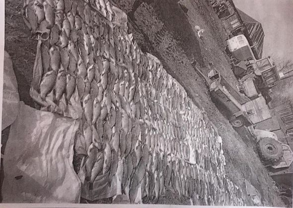 Полицейский и чиновник сотоварищи устроили в Гарях браконьерскую рыбалку, выловив около тонны рыбы?