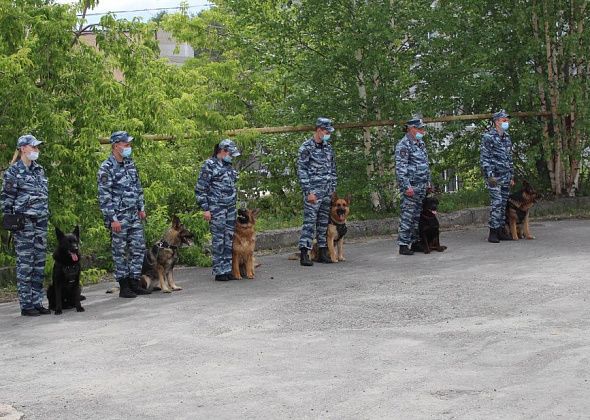 Для детей из Красноярки полицейские Серова устроили парад служебно-розыскных собак