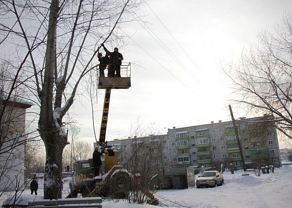 Больше трех миллионов рублей планируют потратить весной на озеленение Серова