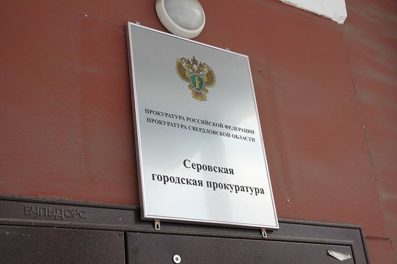 Прокуратура Серова взыскала компенсацию ребенку, укушенному бродячей собакой по пути из новой школы
