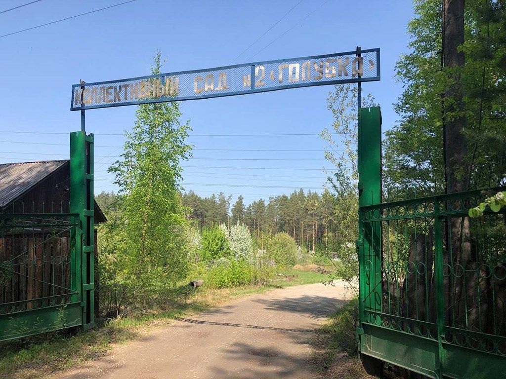 "Думаю, он намеренно заехал в лес и что-то с собой сделал"... Полиция Серова, родные и близкие продолжают поиски пропавшего Андрея Зуева