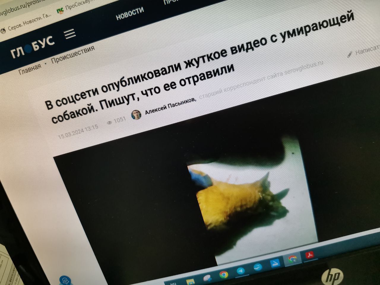 Полиция Серова продолжает проверку сообщений о массовой гибели собак. Животных могли отравить
