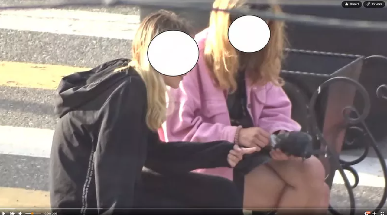 Школьниц из Серова, которых "прославило" видео с издевательством над голубем, могут направить в Центр содержания несовершеннолетних правонарушителей