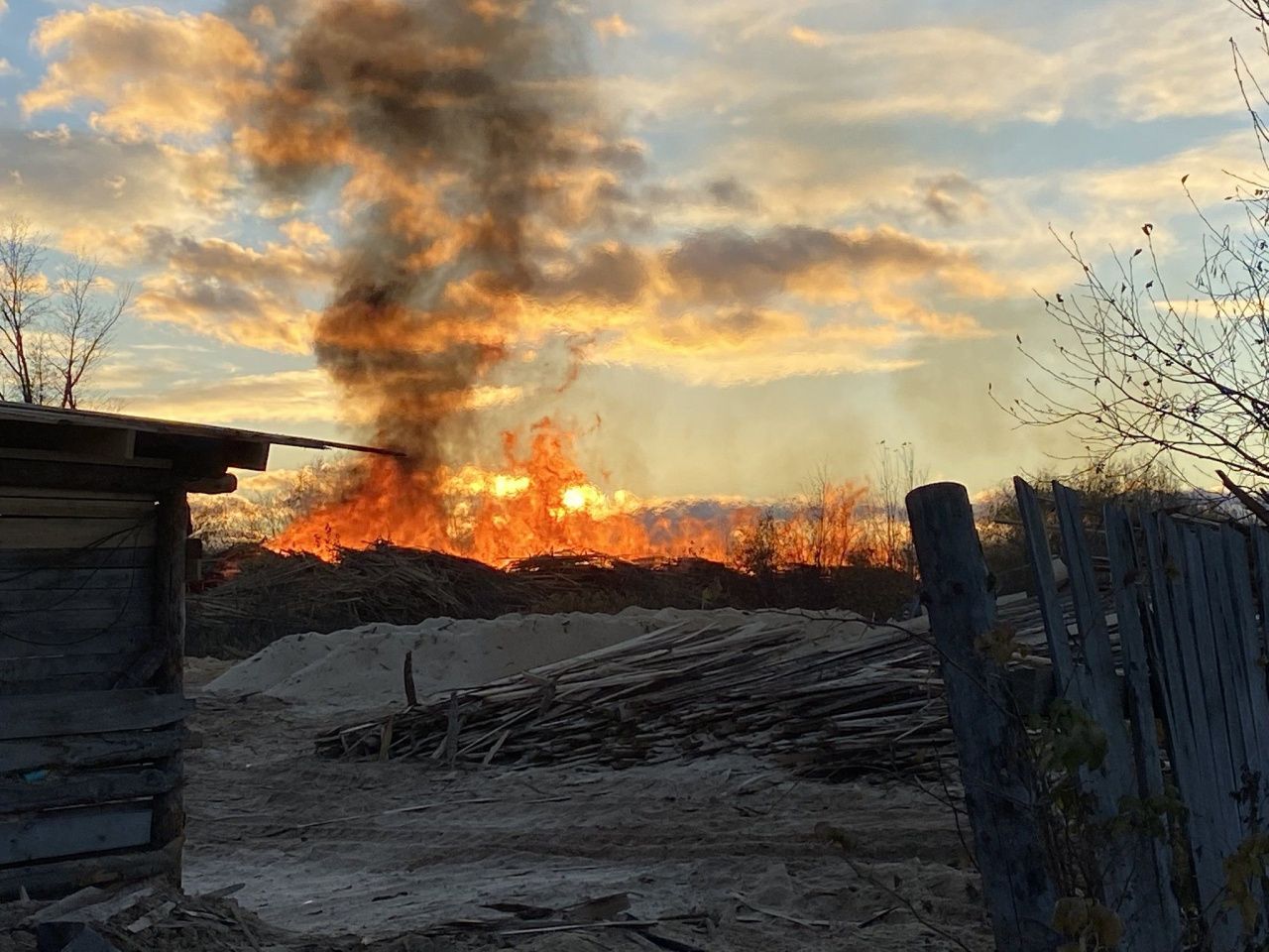 Суд приостановил деятельность пилорамы, в пожаре на которой погиб человек