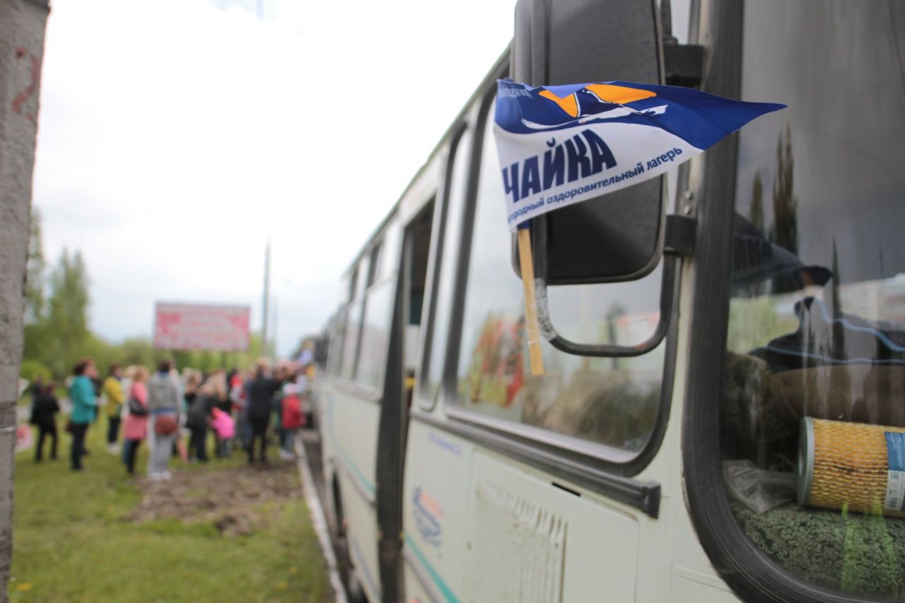 Определены количество мест и стоимость путевок в загородные лагеря Серова на 2026 год