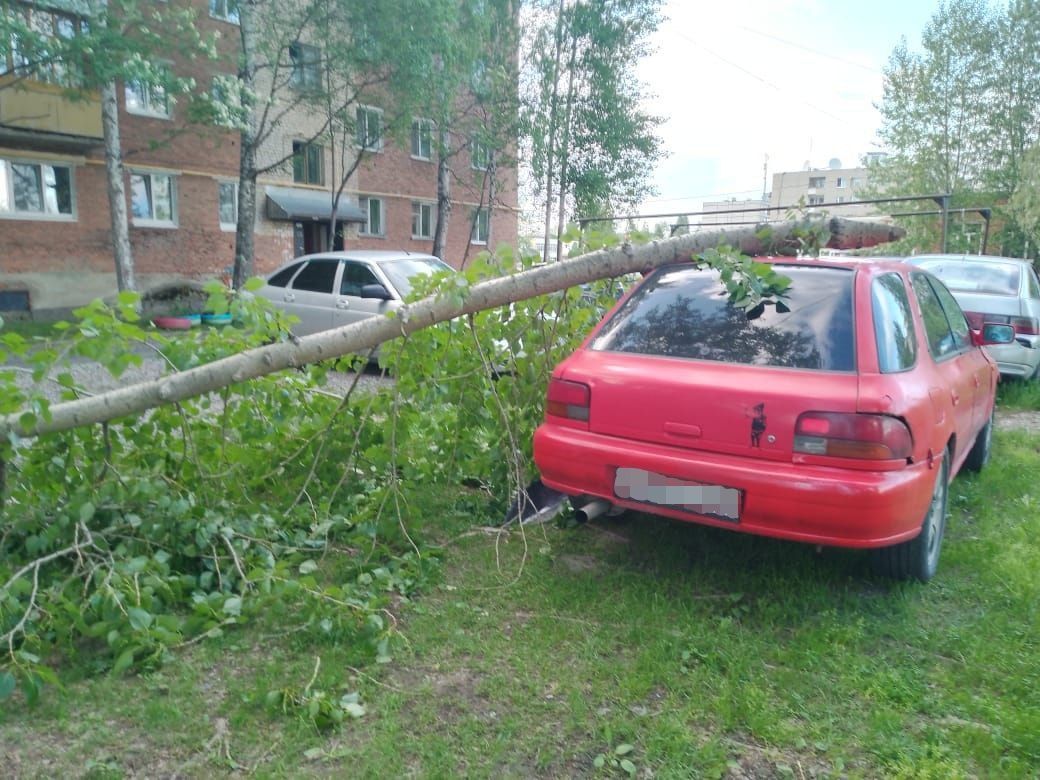 В поселке Энергетиков на автомобиль рухнула ветка тополя, который люди просят обрезать уже 8 лет