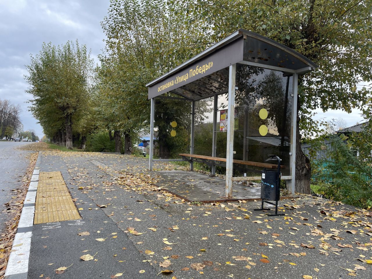 Сколько автобусных остановок, тротуаров и перекрестков оборудовали для инвалидов в Серове?