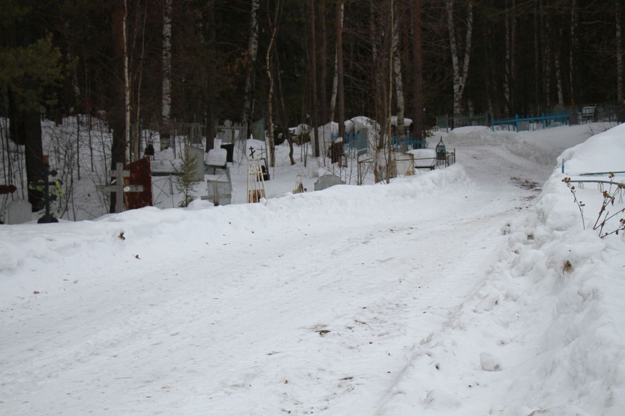 Новоселам Светлого микрорайона в Екатеринбурге приходится пробираться домой  через темное кладбище | Новости | СеровГлобус.ру