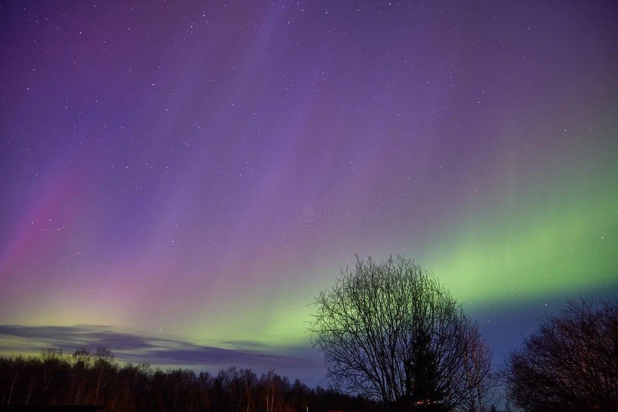В северной части неба 17 декабря можно наблюдать полярное сияние