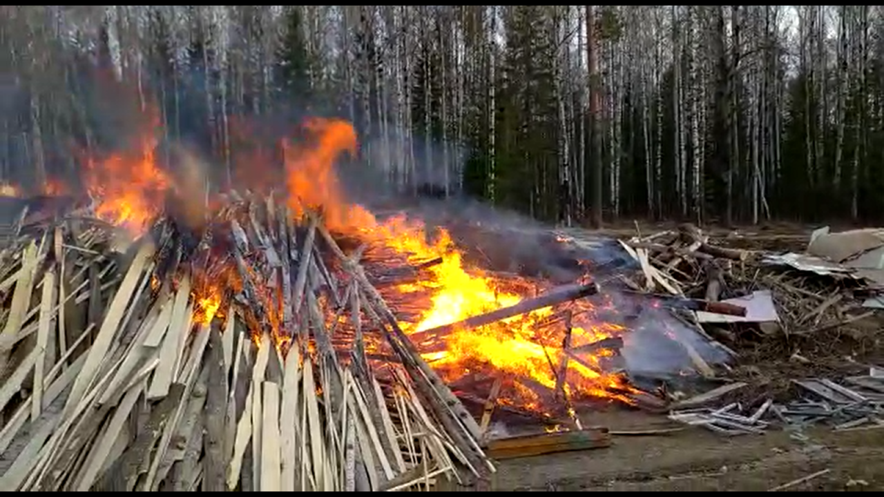 Сжигание порубочных остатков. Сжигание древесных отходов. Отходы лесопиления.