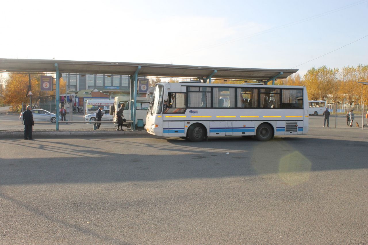 Рассказываем, как будут курсировать автобусы в коллективные сады Серова