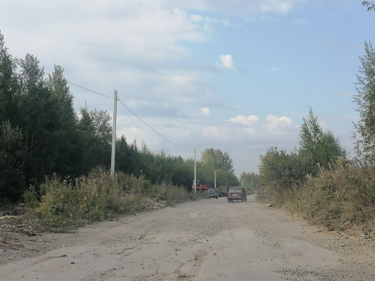 На дороге между Новой Колой и Медянкино вновь орудуют «черные копатели»?