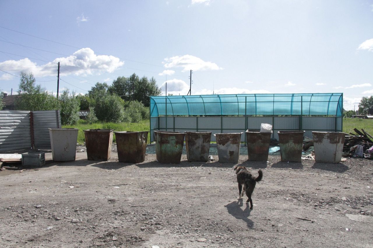 Определился подрядчик, который займется содержанием контейнерных площадок в частном секторе Серова