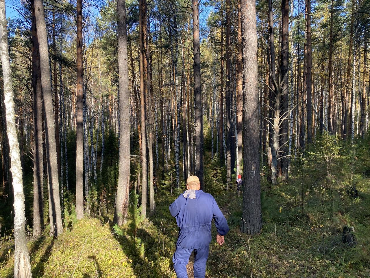 Серовчан приглашают прошагать 10 километров по лесным тропам