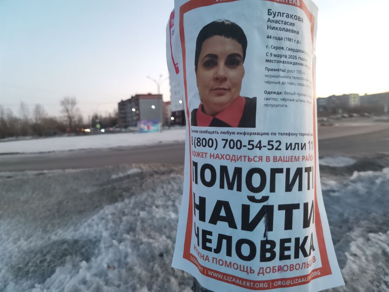 Последнее место нахождения – Филькино. В Серове продолжают искать пропавшую без вести Анастасию Булгакову