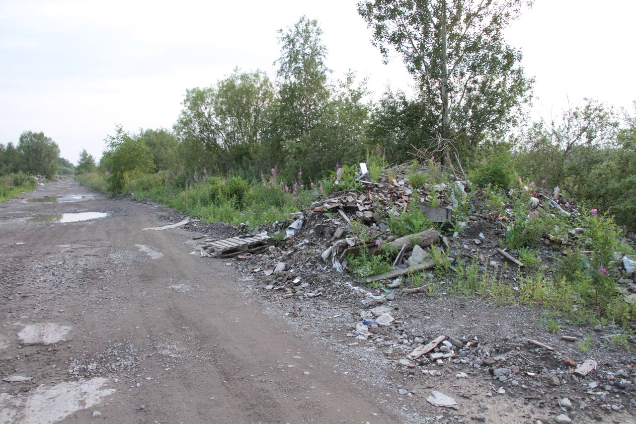На уборку мусора с дороги между Новой Колой и Медянкино потратят 1,4 миллиона рублей