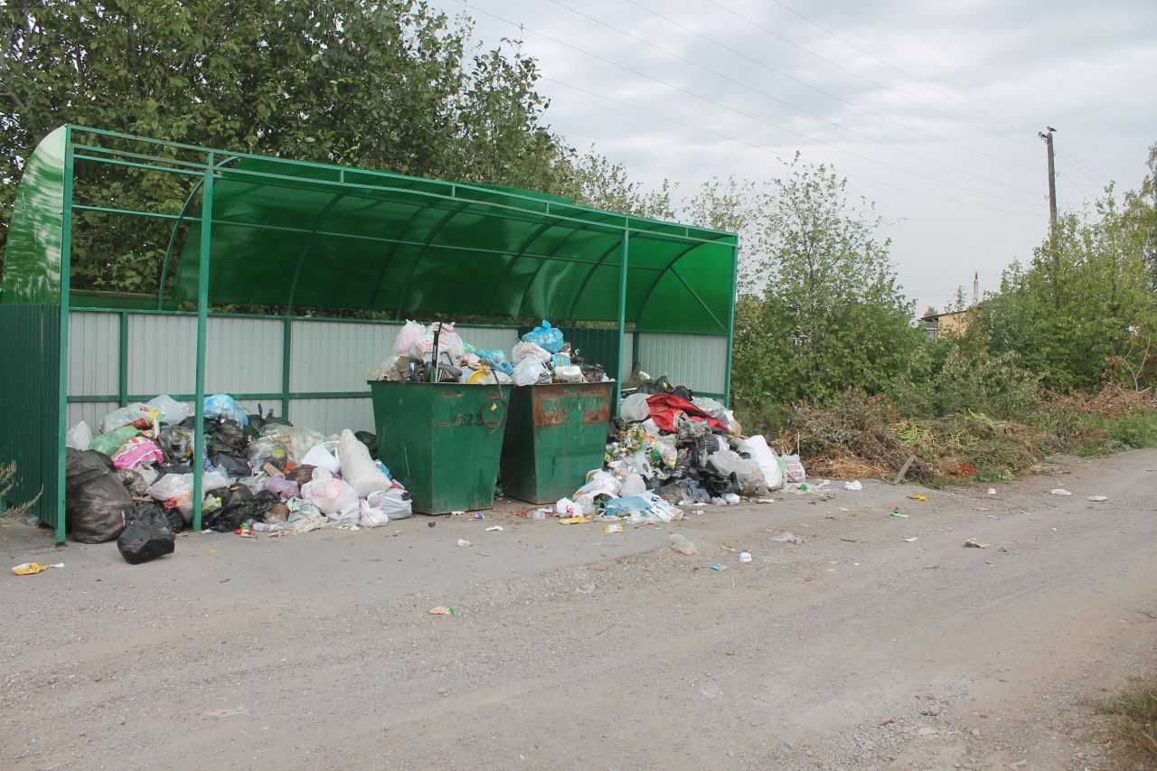 "Рифей" сообщил, почему с площадки в Серове не вывозится мусор. В контейнерах для ТКО обнаружили нечистоты, выкачанные из уличных туалетов