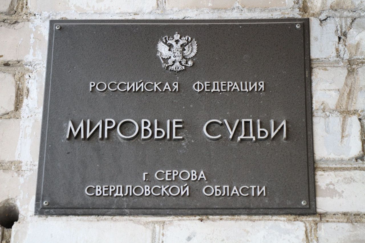 Серовчанка заявила гражданский иск к человеку, которого будут судить за убийство ее щенка Микки